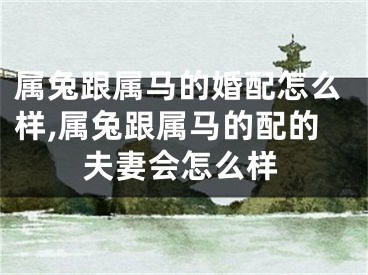 属兔跟属马的婚配怎么样,属兔跟属马的配的夫妻会怎么样