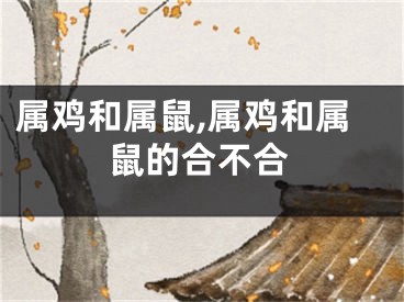 属鸡和属鼠,属鸡和属鼠的合不合