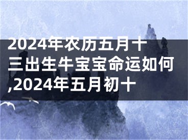 2024年农历五月十三出生牛宝宝命运如何,2024年五月初十