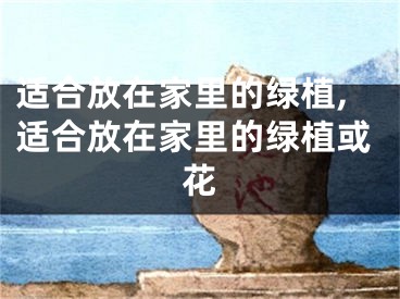 适合放在家里的绿植,适合放在家里的绿植或花