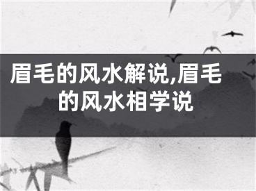 眉毛的风水解说,眉毛的风水相学说