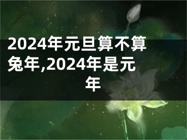 2024年元旦算不算兔年,2024年是元年