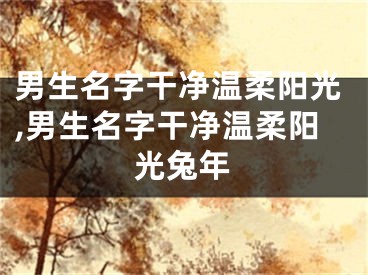 男生名字干净温柔阳光,男生名字干净温柔阳光兔年