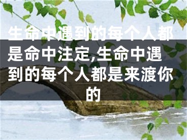 生命中遇到的每个人都是命中注定,生命中遇到的每个人都是来渡你的