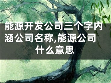 能源开发公司三个字内涵公司名称,能源公司什么意思