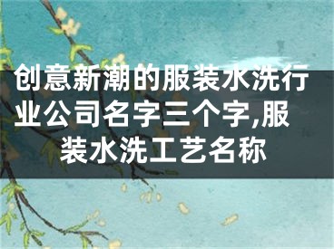 创意新潮的服装水洗行业公司名字三个字,服装水洗工艺名称