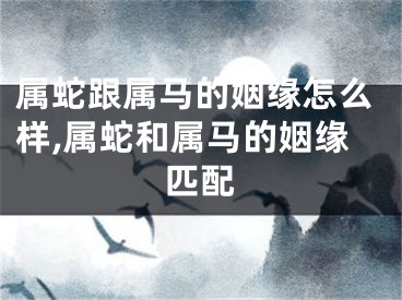 属蛇跟属马的姻缘怎么样,属蛇和属马的姻缘匹配