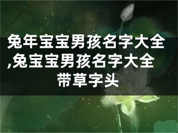 兔年宝宝男孩名字大全,兔宝宝男孩名字大全带草字头