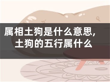 属相土狗是什么意思,土狗的五行属什么