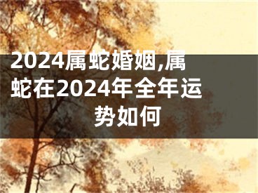 2024属蛇婚姻,属蛇在2024年全年运势如何
