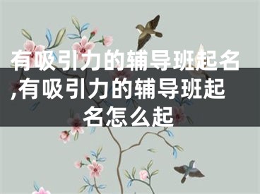 有吸引力的辅导班起名,有吸引力的辅导班起名怎么起