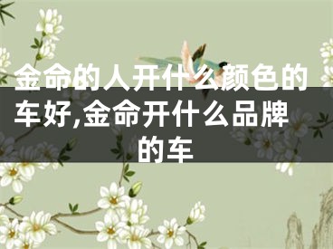 金命的人开什么颜色的车好,金命开什么品牌的车