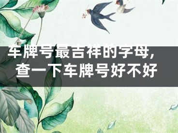车牌号最吉祥的字母,查一下车牌号好不好