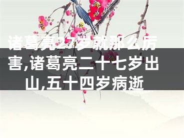 诸葛亮27岁就那么厉害,诸葛亮二十七岁出山,五十四岁病逝