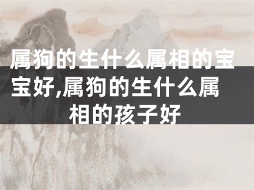属狗的生什么属相的宝宝好,属狗的生什么属相的孩子好
