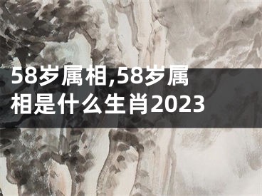 58岁属相,58岁属相是什么生肖2023