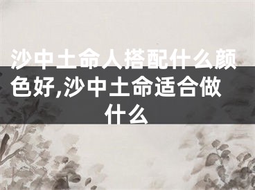 沙中土命人搭配什么颜色好,沙中土命适合做什么