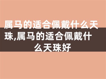 属马的适合佩戴什么天珠,属马的适合佩戴什么天珠好
