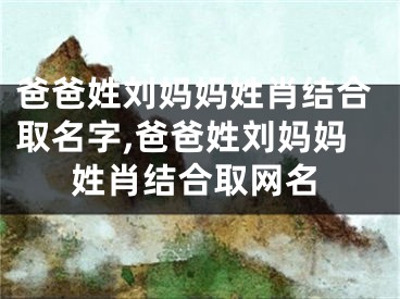 爸爸姓刘妈妈姓肖结合取名字,爸爸姓刘妈妈姓肖结合取网名