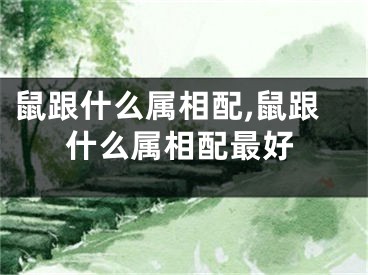 鼠跟什么属相配,鼠跟什么属相配最好