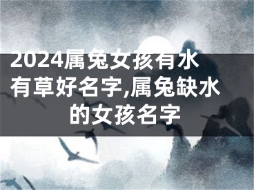 2024属兔女孩有水有草好名字,属兔缺水的女孩名字