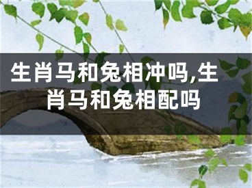 生肖马和兔相冲吗,生肖马和兔相配吗