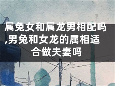 属兔女和属龙男相配吗,男兔和女龙的属相适合做夫妻吗