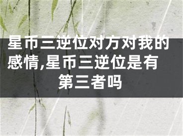 星币三逆位对方对我的感情,星币三逆位是有第三者吗