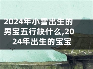 2024年小雪出生的男宝五行缺什么,2024年出生的宝宝