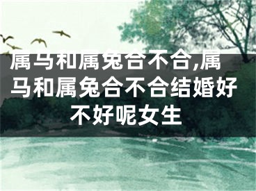 属马和属兔合不合,属马和属兔合不合结婚好不好呢女生