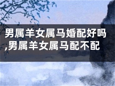 男属羊女属马婚配好吗,男属羊女属马配不配