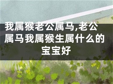 我属猴老公属马,老公属马我属猴生属什么的宝宝好