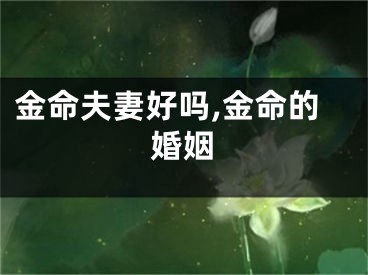 金命夫妻好吗,金命的婚姻