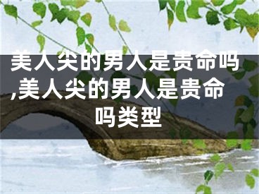 美人尖的男人是贵命吗,美人尖的男人是贵命吗类型