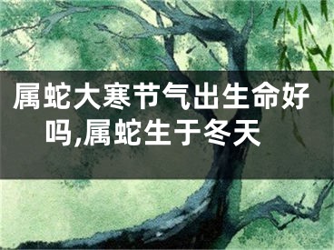 属蛇大寒节气出生命好吗,属蛇生于冬天