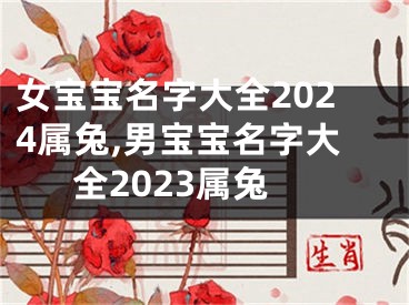 女宝宝名字大全2024属兔,男宝宝名字大全2023属兔