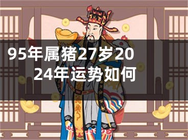 95年属猪27岁2024年运势如何
