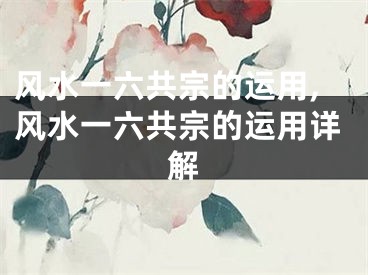 风水一六共宗的运用,风水一六共宗的运用详解