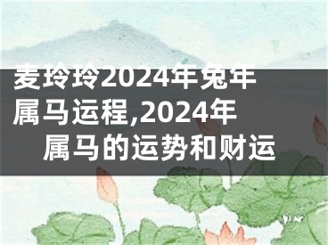 麦玲玲2024年兔年属马运程,2024年属马的运势和财运