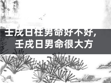 壬戌日柱男命好不好,壬戌日男命很大方