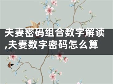 夫妻密码组合数字解读,夫妻数字密码怎么算