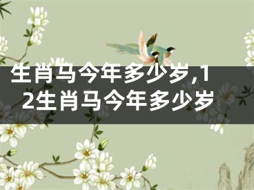 生肖马今年多少岁,12生肖马今年多少岁