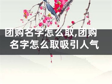 团购名字怎么取,团购名字怎么取吸引人气