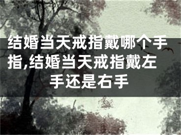 结婚当天戒指戴哪个手指,结婚当天戒指戴左手还是右手