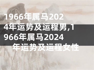 1966年属马2024年运势及运程男,1966年属马2024年运势及运程女性