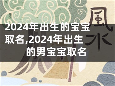 2024年出生的宝宝取名,2024年出生的男宝宝取名