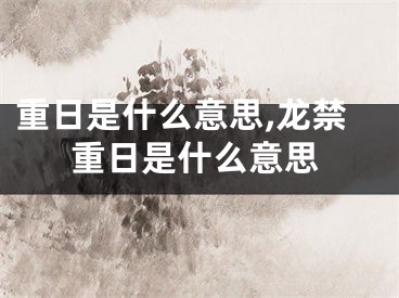 重日是什么意思,龙禁重日是什么意思