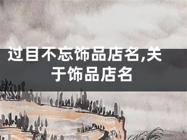 过目不忘饰品店名,关于饰品店名