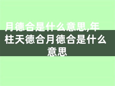 月德合是什么意思,年柱天德合月德合是什么意思