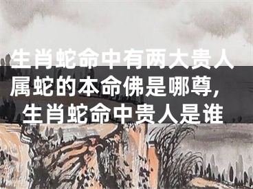 生肖蛇命中有两大贵人属蛇的本命佛是哪尊,生肖蛇命中贵人是谁